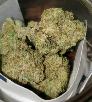 Buy Mango Sapphire Strain