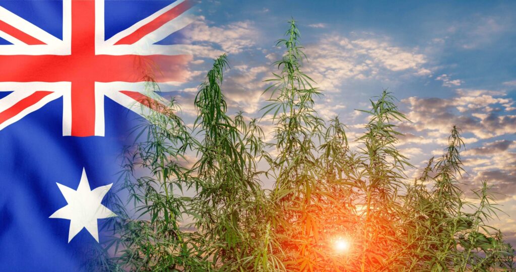 Buy cannabis in Australia