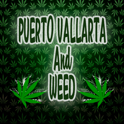 Buy cannabis in Puerto Vallarta