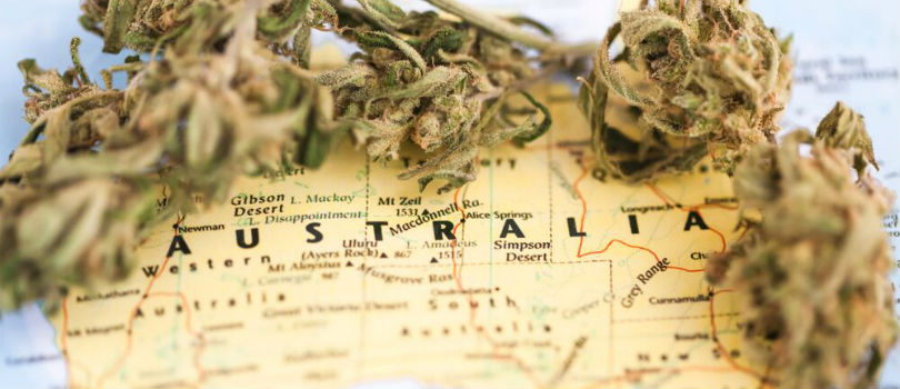 Buy marijuana in Australia