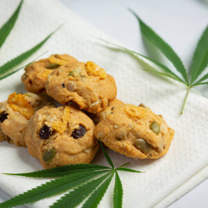 Chocolate Chip Cookie Cannabis Infused