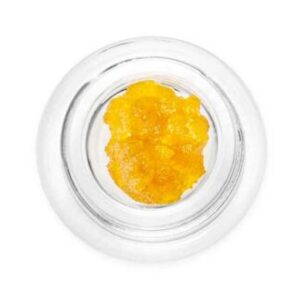 Zookie Land Live Resin
