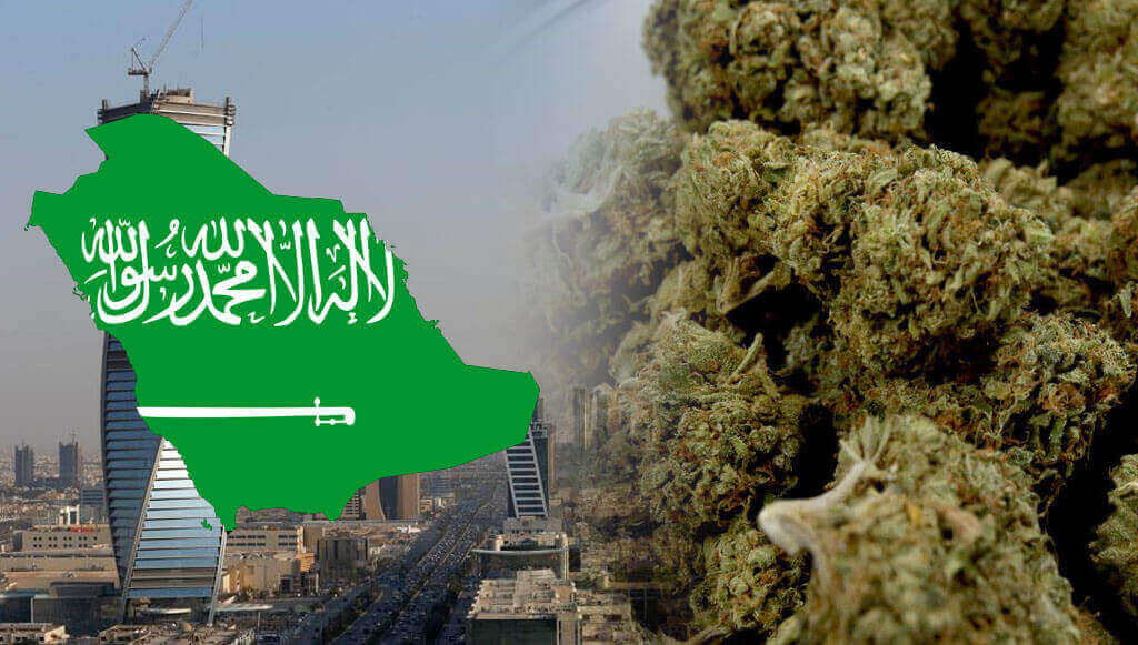 Buy marijuana in Saudi Arabia
