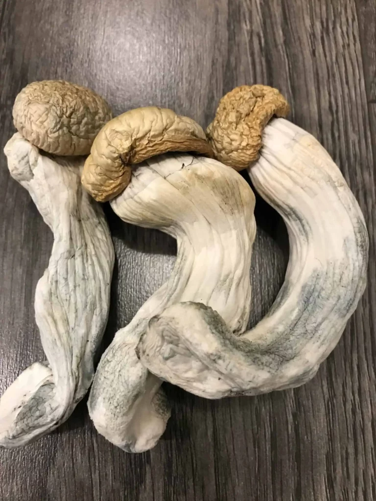 Buy penis envy PE6 online