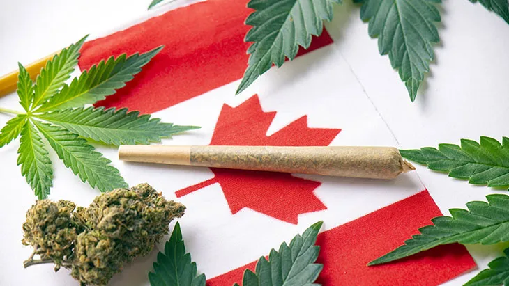 Buy cannabis in Canada