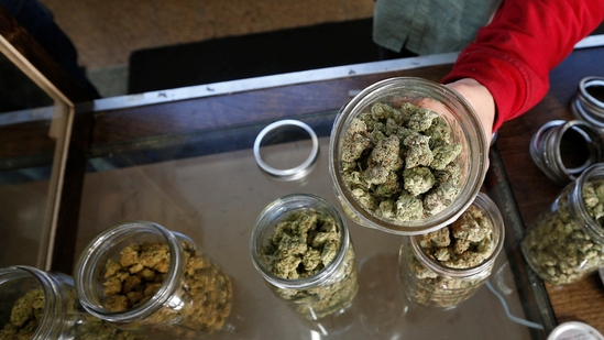 buy weed legally in Puerto Vallarta